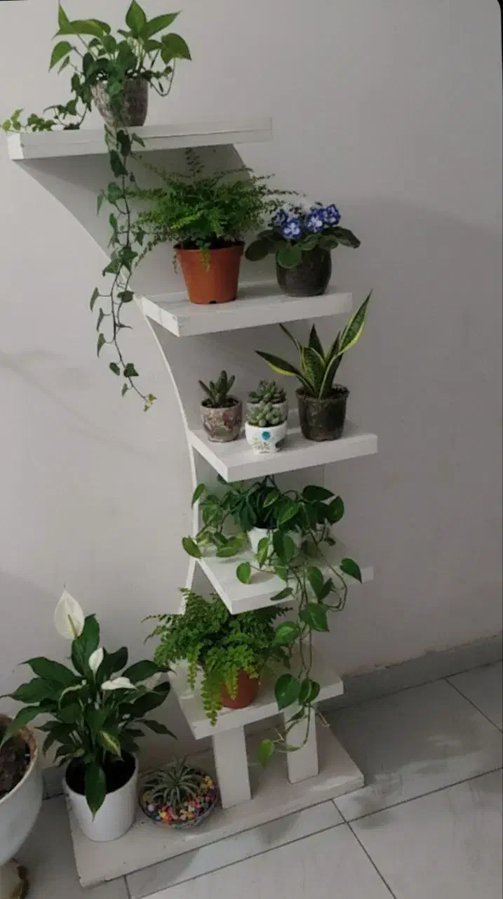 استند گل|کتابخانه، شلف، قفسه‌های دیواری|مرند, |دیوار