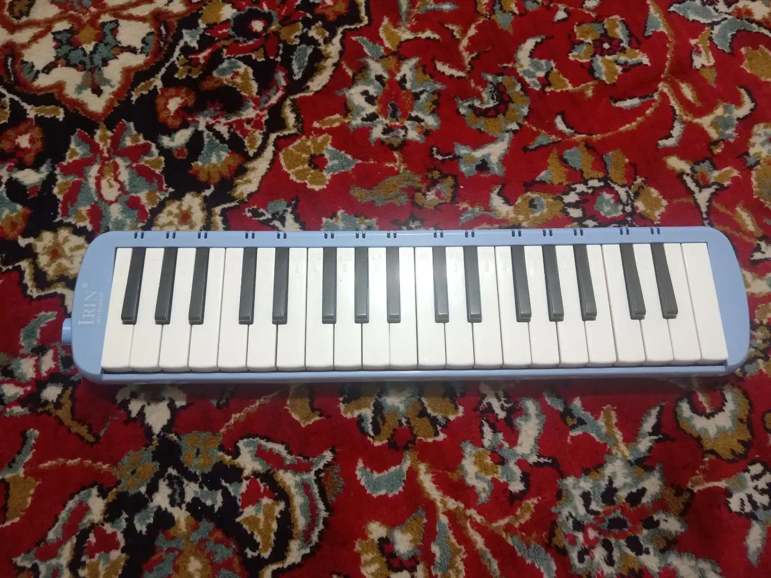 ساز مدل madelnchlnaسالم نو|سازهای بادی|محمدیه-قزوین, |دیوار