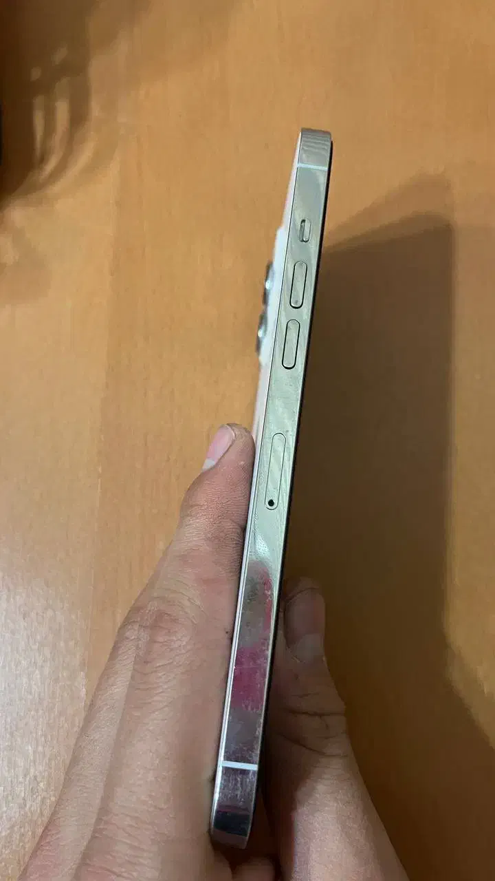 اپل ۱۲pro max|موبایل|بناب, |دیوار