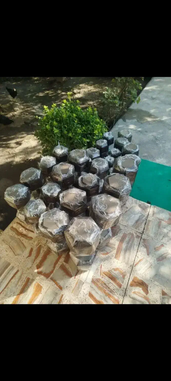 دمبل بتنی در وزن های مختلف زیاد از 7.5 تا 17.5|تجهیزات ورزشی|گرگان, |دیوار