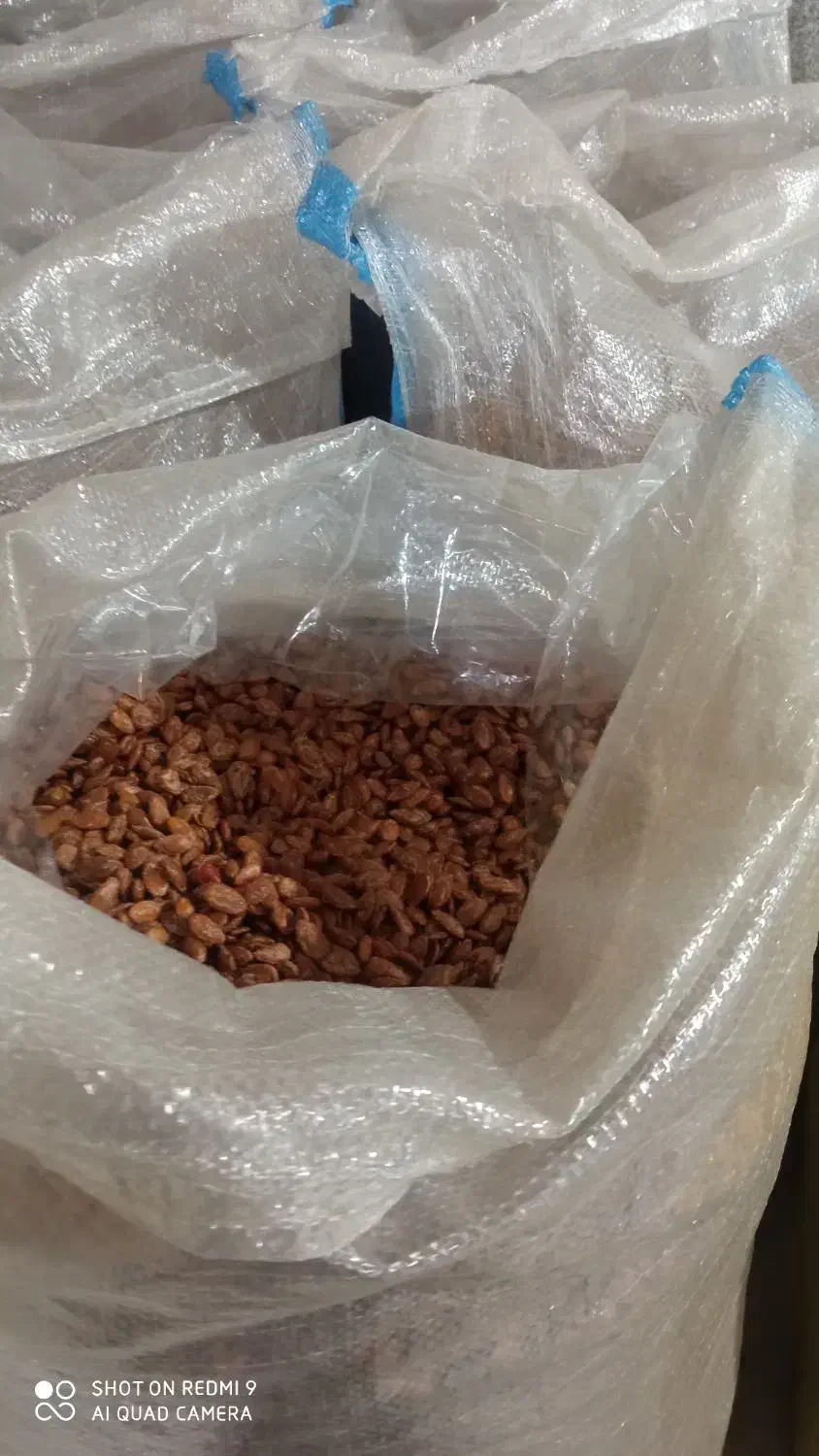 تخمه|خوردنی و آشامیدنی|رضویه, |دیوار