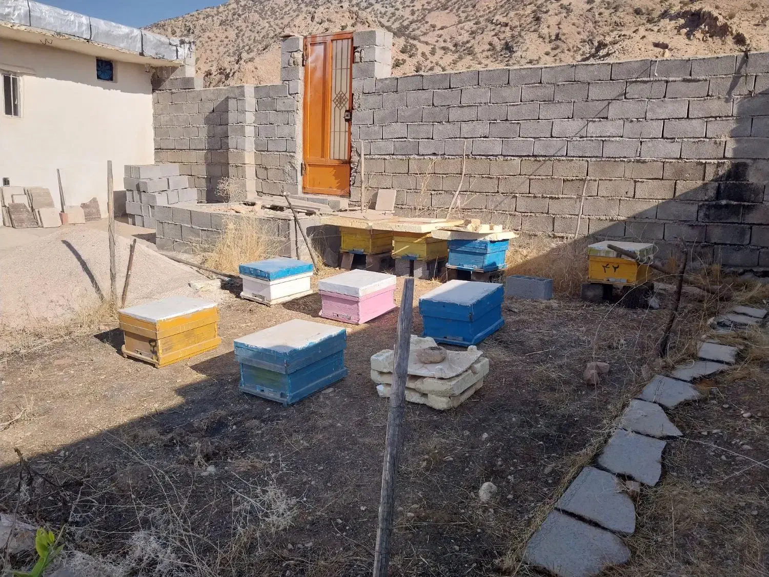 وسایل و کندو زنبور عسل|حیوانات مزرعه|شباب, |دیوار