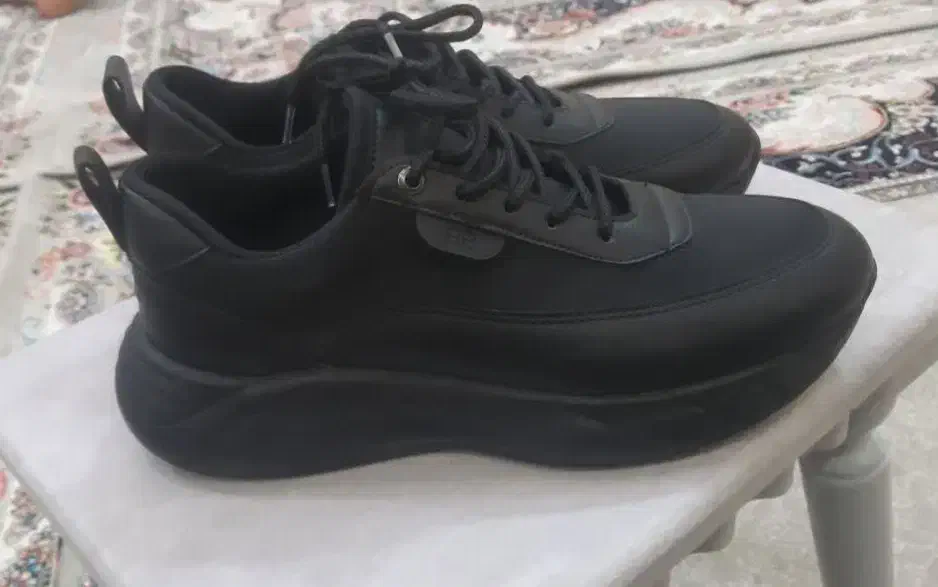 کفش|کیف، کفش، کمربند|آران و بیدگل, |دیوار