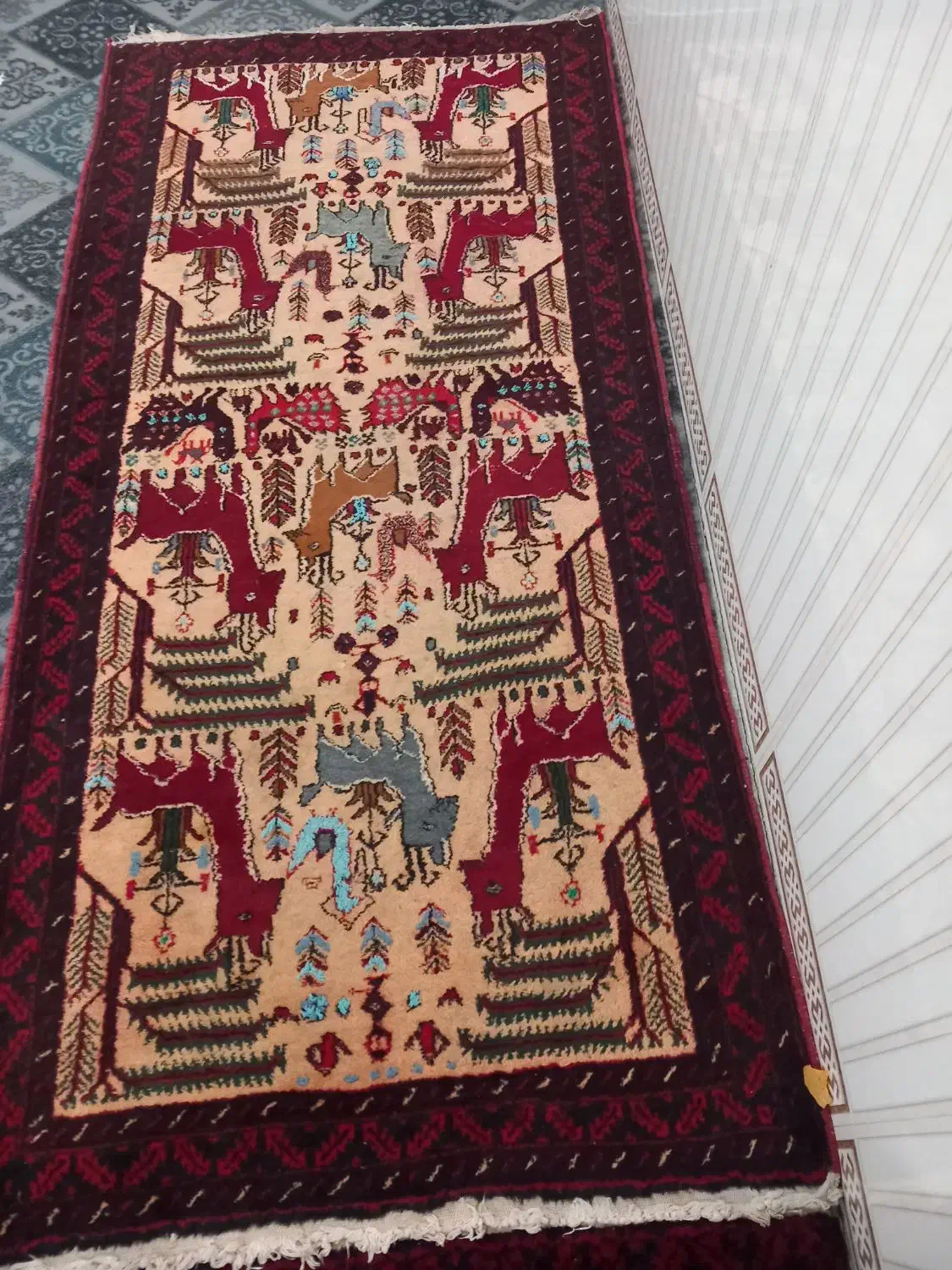 فرش قدیمی دست باف|فرش|تربت‌حیدریه, رجایی|دیوار