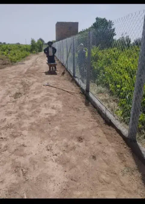 کاراگاه تیرچه|عمده‌فروشی|اسفرورین, |دیوار