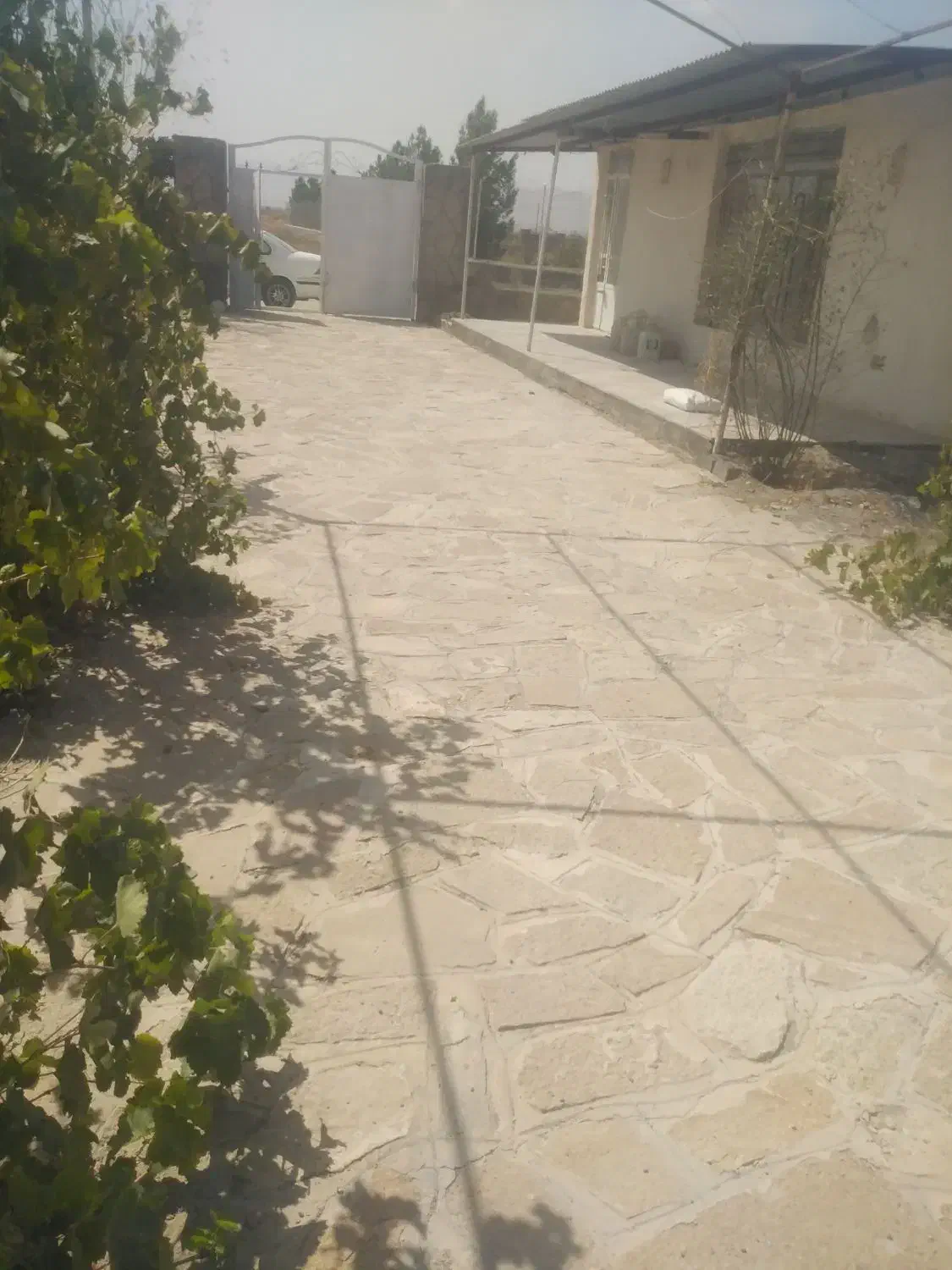 باغ فروشی|فروش خانه و ویلا|چناران, |دیوار