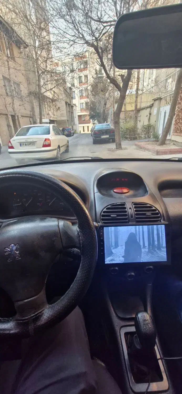 206 sd|خودرو سواری و وانت|تهران, باغ فردوس|دیوار