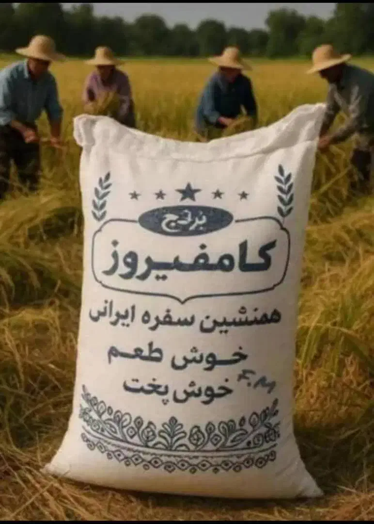 برنج کامفیروزی|خوردنی و آشامیدنی|آباده, |دیوار
