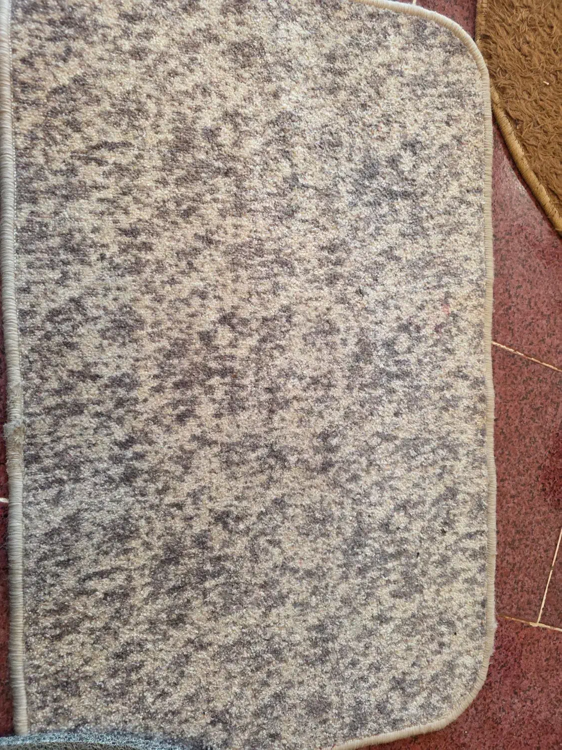 ۴عدد پادری|پادری|قزوین, |دیوار