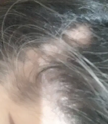 اطلاع رسانی|فعالیت داوطلبانه|خواجه, |دیوار