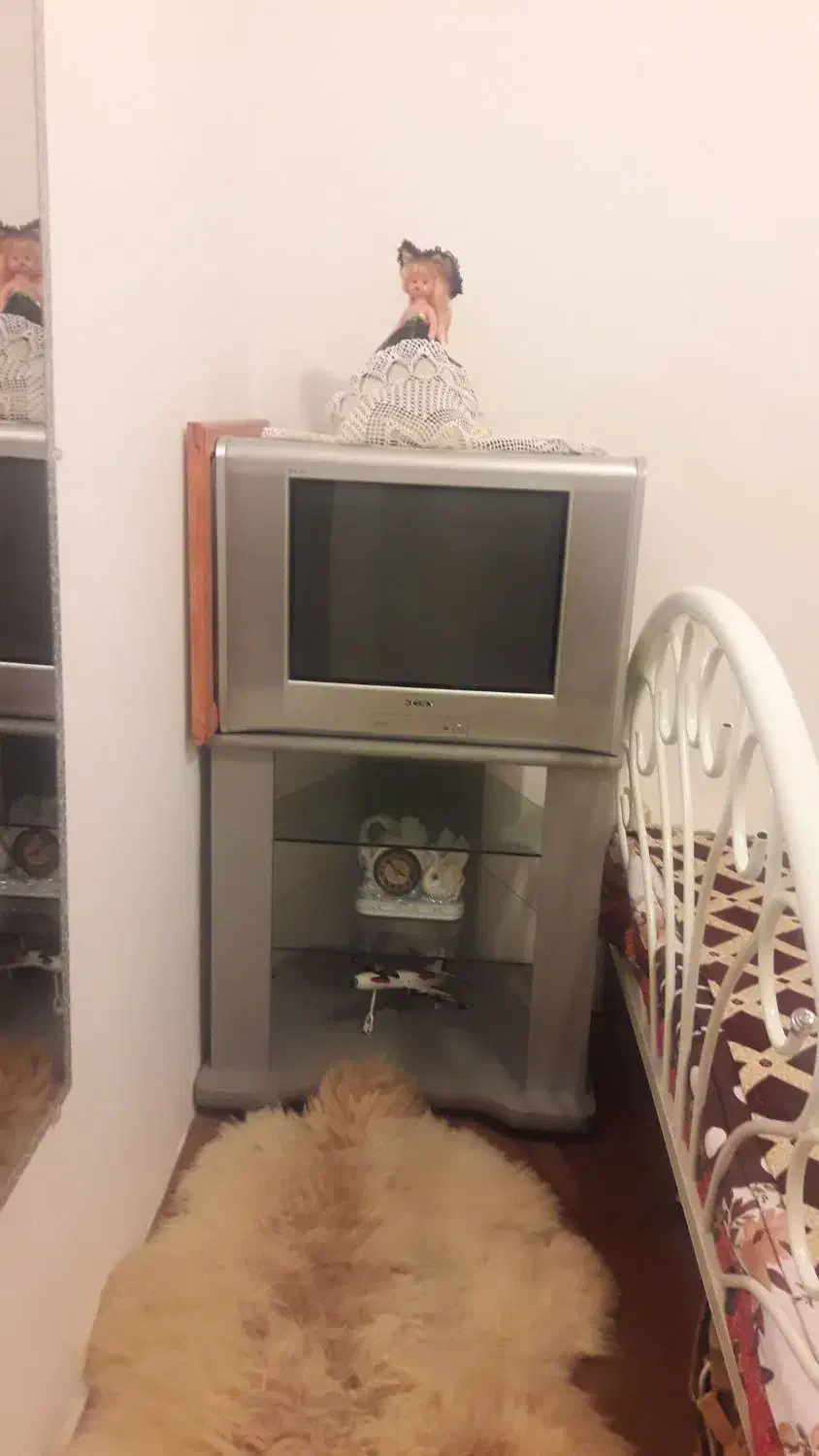 تلویزیون ۲۱ اینچ سونی با میز|تلویزیون و پروژکتور|اردبیل, |دیوار