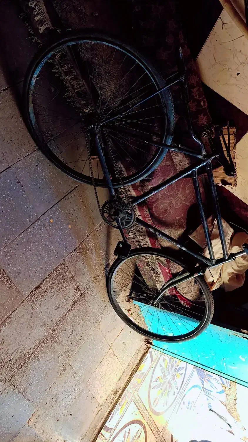 دو چرخه فنیکس|دوچرخه، اسکیت، اسکوتر|اهواز, کوی علوی|دیوار