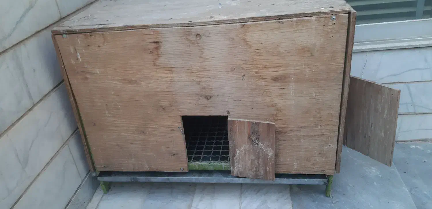 قفس یا جفتی نر|لوازم جانبی حیوانات|اصفهان, جویباره|دیوار