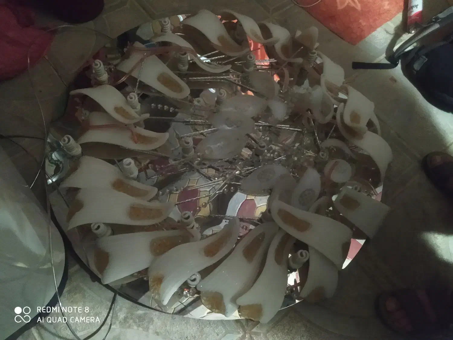 لوستر|لوستر و چراغ آویز|بانه, |دیوار