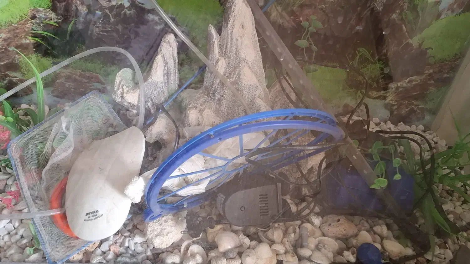 آکواریوم سایز بزرگ همراه پایه و تجهیزات کامل|ماهی|بندرعباس, |دیوار