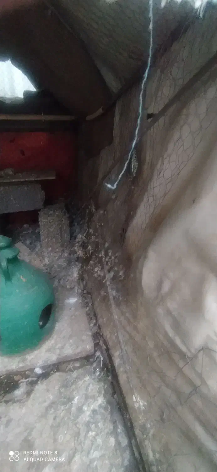 لانه طوری کفتر|کالسکه و لوازم جانبی|همدان, |دیوار