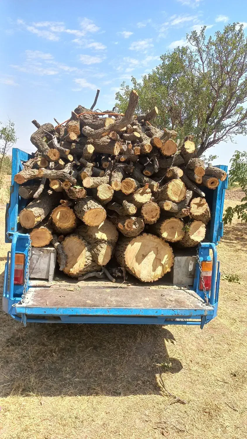 خرید انواع چوب .بالاترین قیمت نقد|خدمات باغبانی و درختکاری|خرمدره, |دیوار