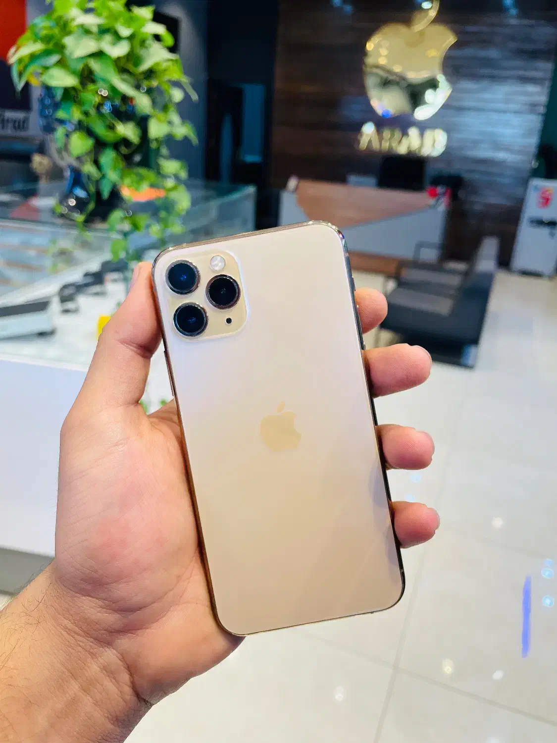 Iphone 11 pro 256 g gold|موبایل|یزد, |دیوار