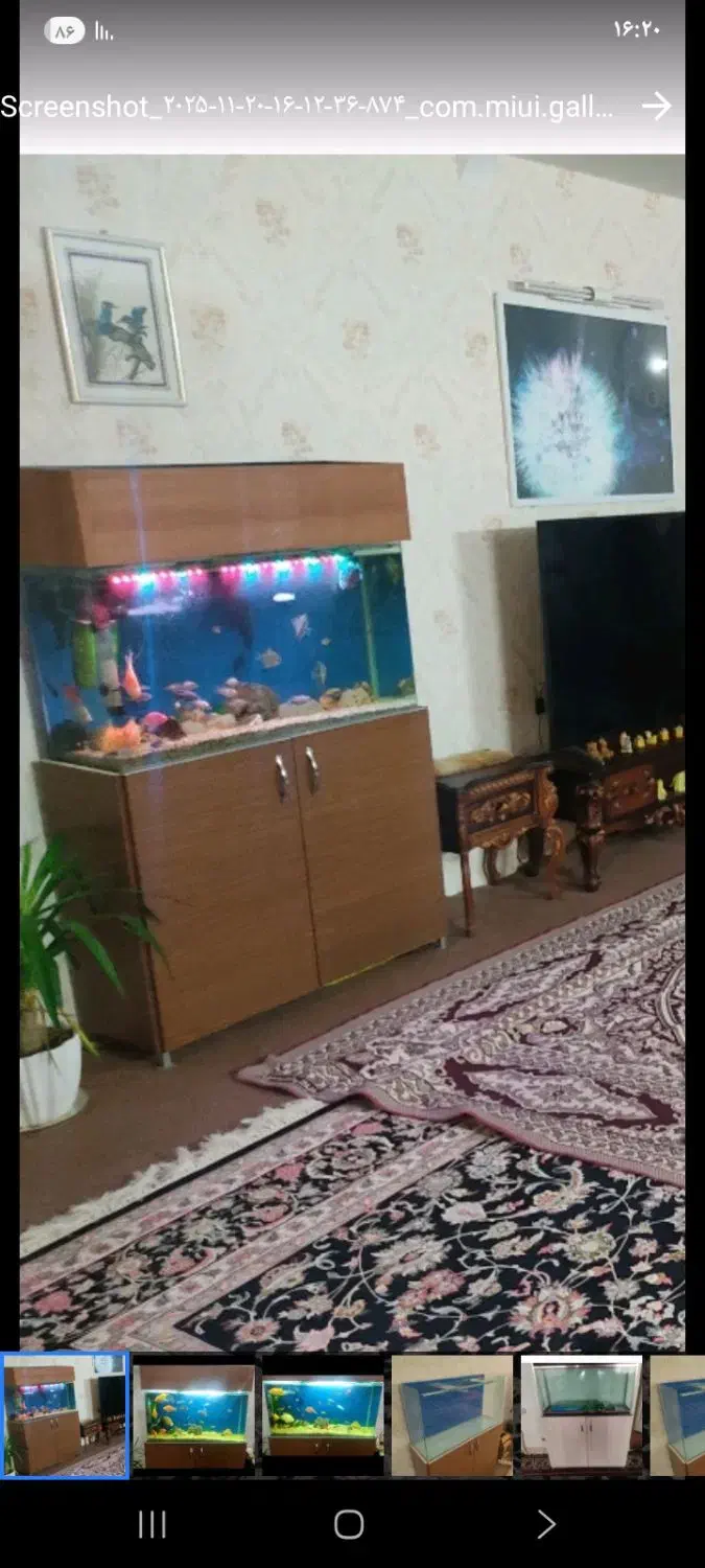 اکواریوم درحد نوشرکتی شیشه خم همراه میز ام دی اف|ماهی|زنجان, |دیوار