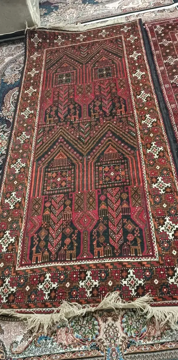 فرش دستبافت|فرش|زابل, |دیوار