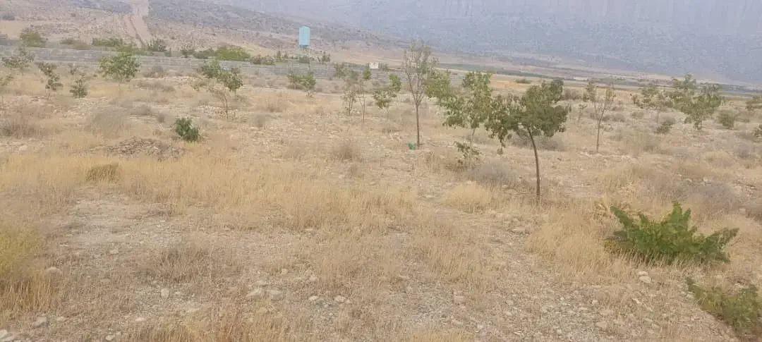 زمین باغی روستای دشت ارژن|فروش زمین و ملک کلنگی|شیراز, گلدشت معالی‌آباد|دیوار