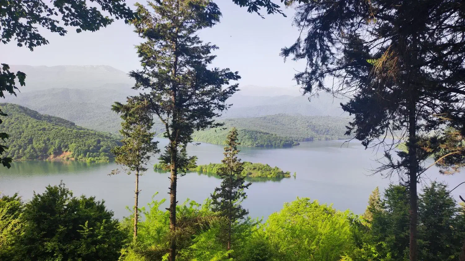 فروش زمین شمالی ۶۰۰متری سه پلاک یا معاوضه با خونه|فروش زمین و ملک کلنگی|نجفآباد, جعفرآباد|دیوار