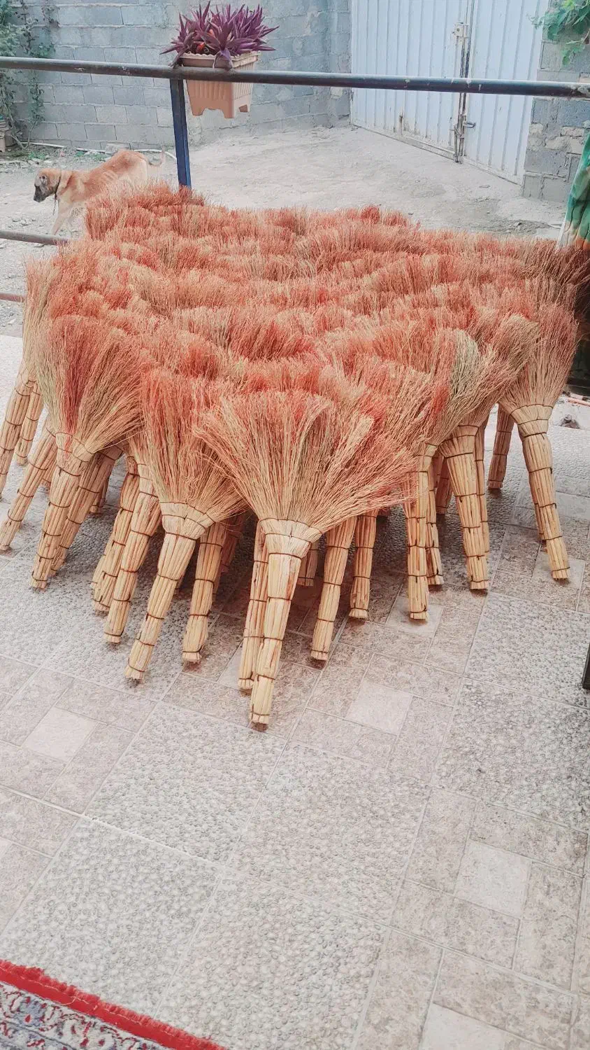 فروشی هر چند تا که بخاین جاروی تمیز سالم دستی|لوازم نظافت|آق قلا, |دیوار