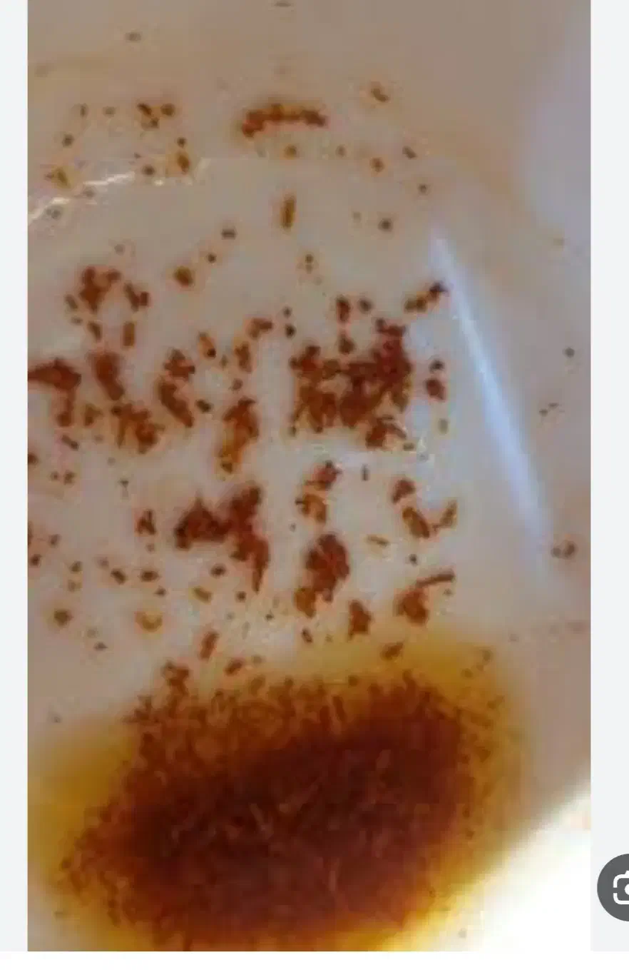 فال تاروت .فال قهوه .فال شمع.فال آینه|خدمات پذیرایی، مراسم|سقز, |دیوار