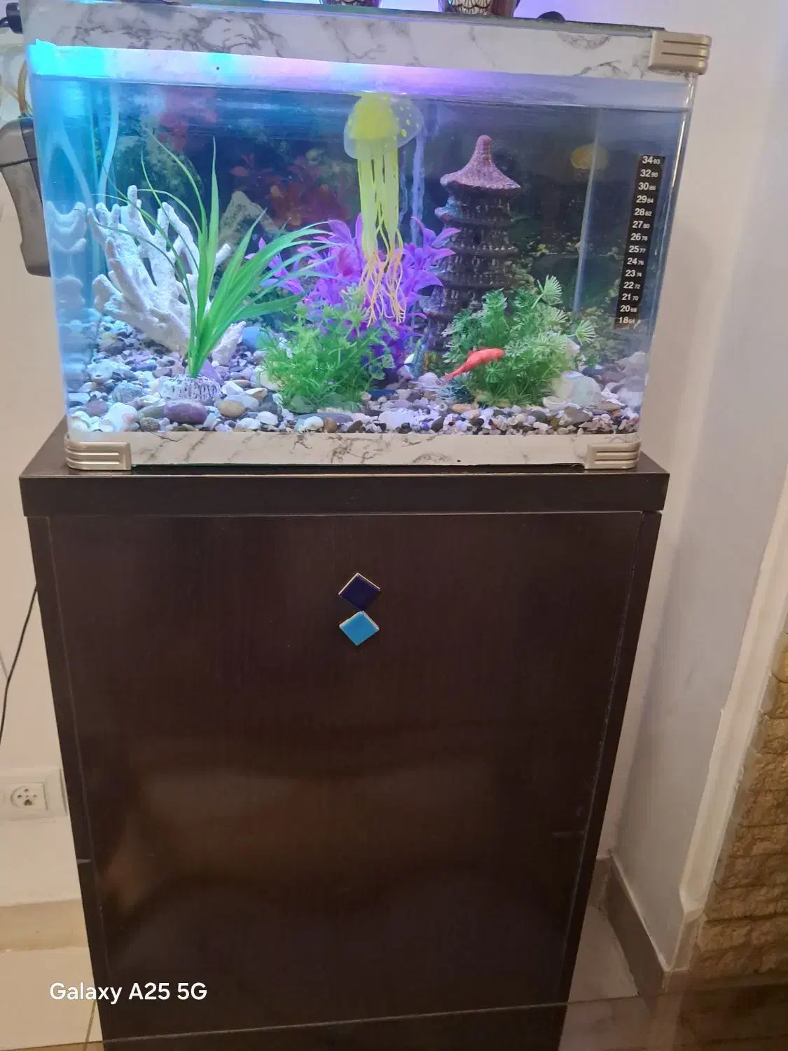 آکواریوم شیشه خم شرکتی|ماهی|مهاجران, |دیوار