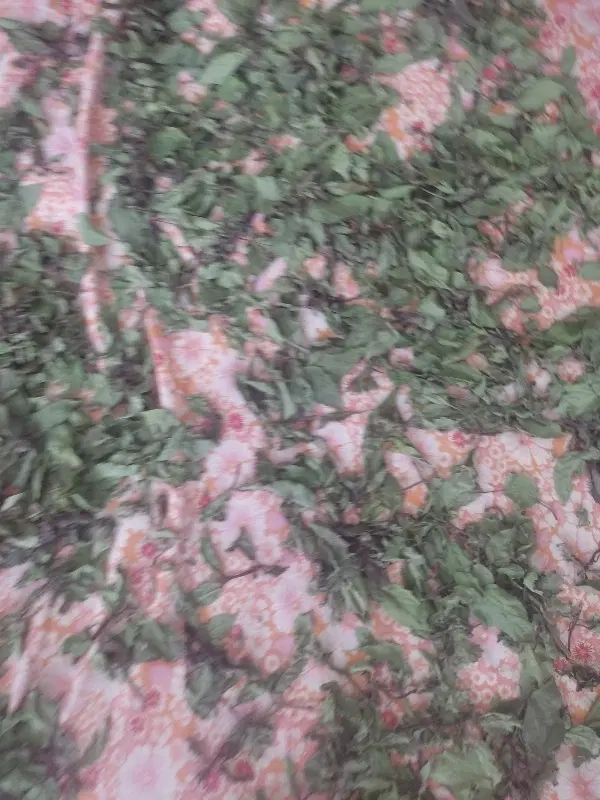 سبزی|خوردنی و آشامیدنی|نیر (اردبیل), |دیوار