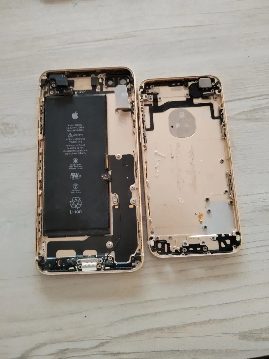 iphone 7 plus|لوازم جانبی موبایل و تبلت|شیراز, دارالرحمه|دیوار