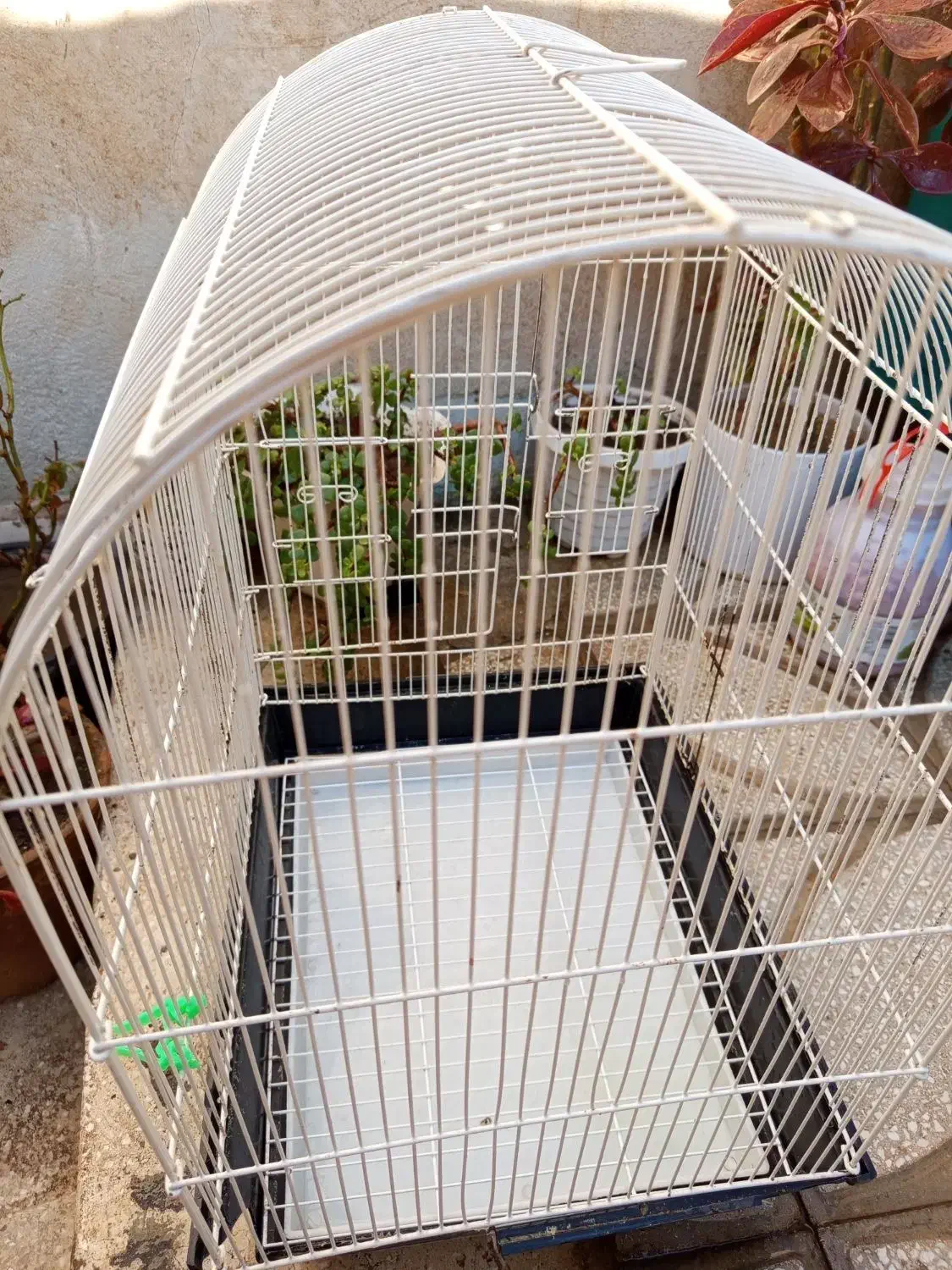 قفس پرنده|لوازم جانبی حیوانات|سبزوار, رضوی|دیوار