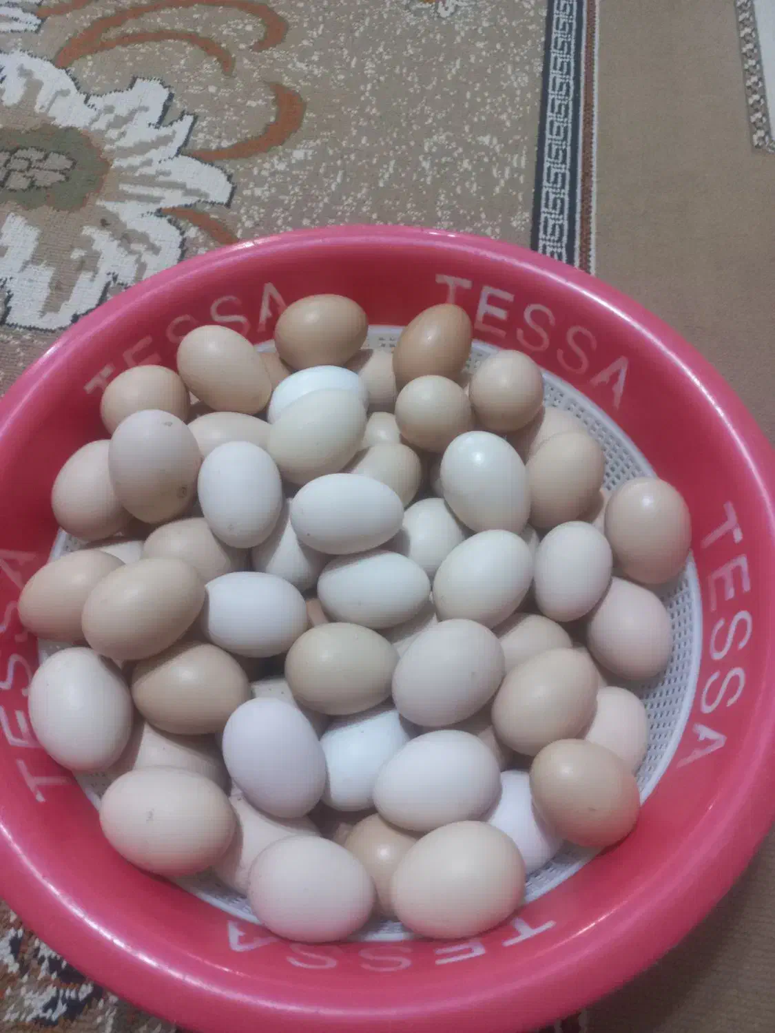 تخم مرغ محلی|خوردنی و آشامیدنی|سده (خراسان جنوبی), |دیوار