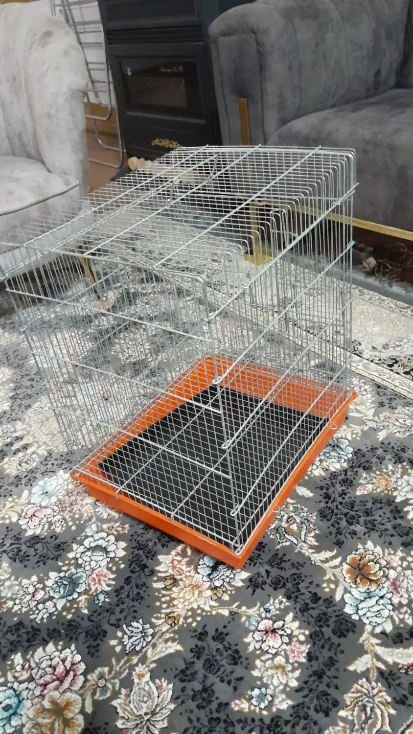 عروس هلندی|پرنده|مبارکه, |دیوار