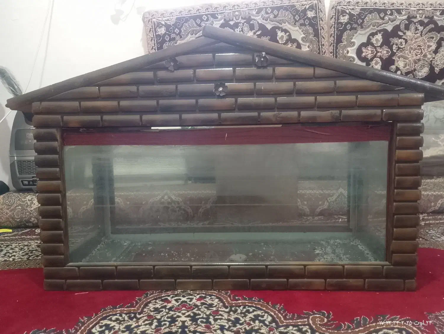 اکواریوم|ماهی|کرمانشاه, |دیوار