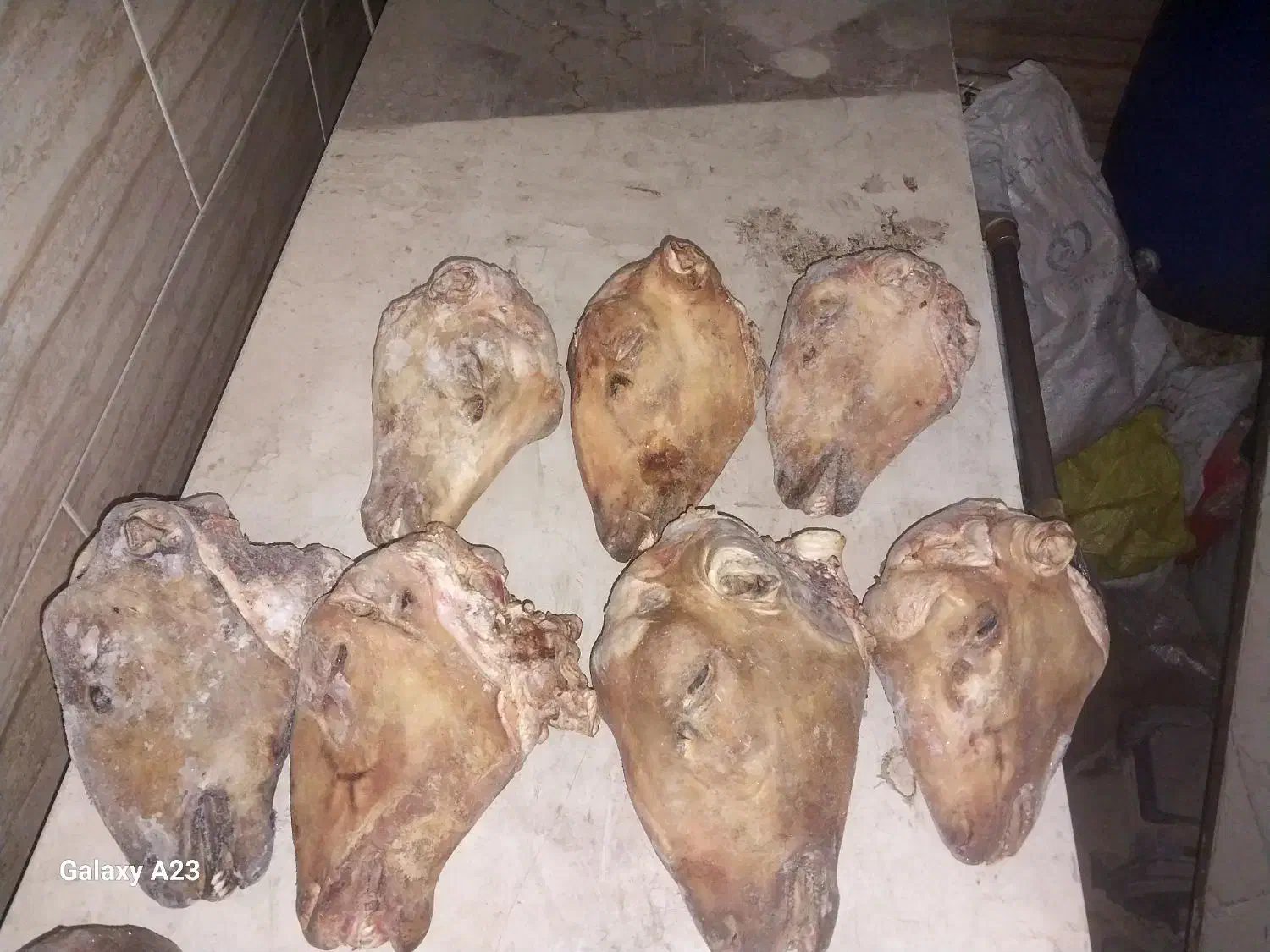 کله پاچه بره و شیشک پاچه گوساله و سیرابی|خوردنی و آشامیدنی|خمینی‌شهر, |دیوار