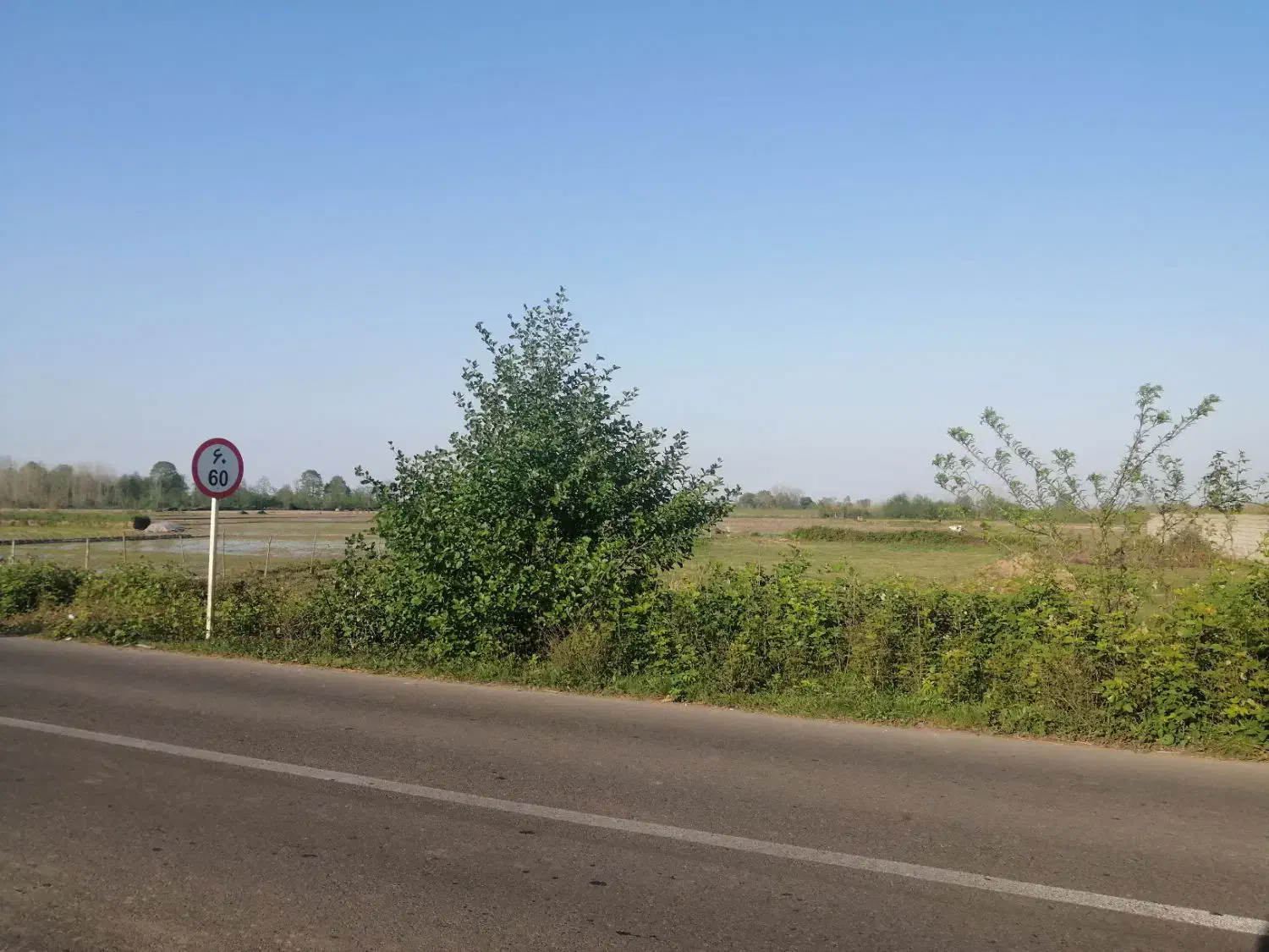 فروش فوری زمین 1000 متری گوراب زرمیخ ندامان|فروش زمین و ملک کلنگی|گوراب زرمیخ, |دیوار