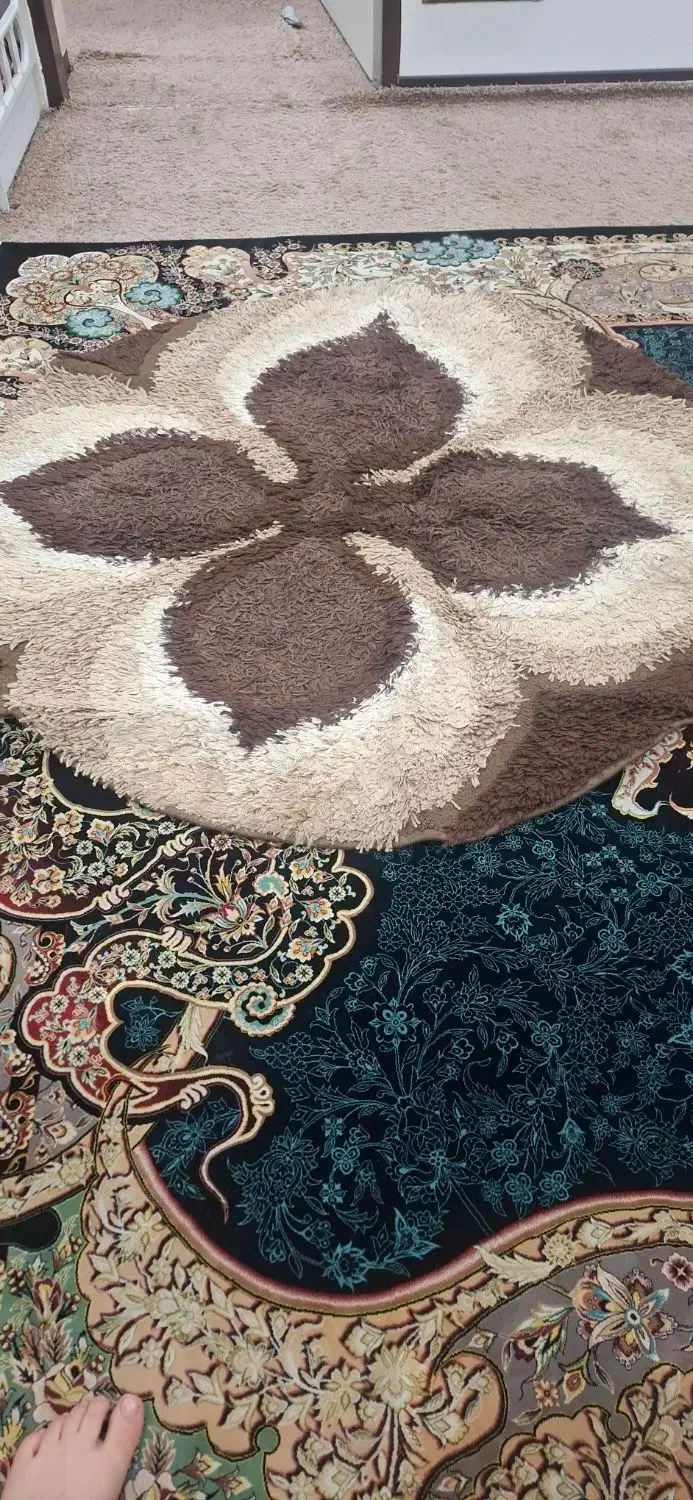 فرش|فرش|شوشتر, |دیوار