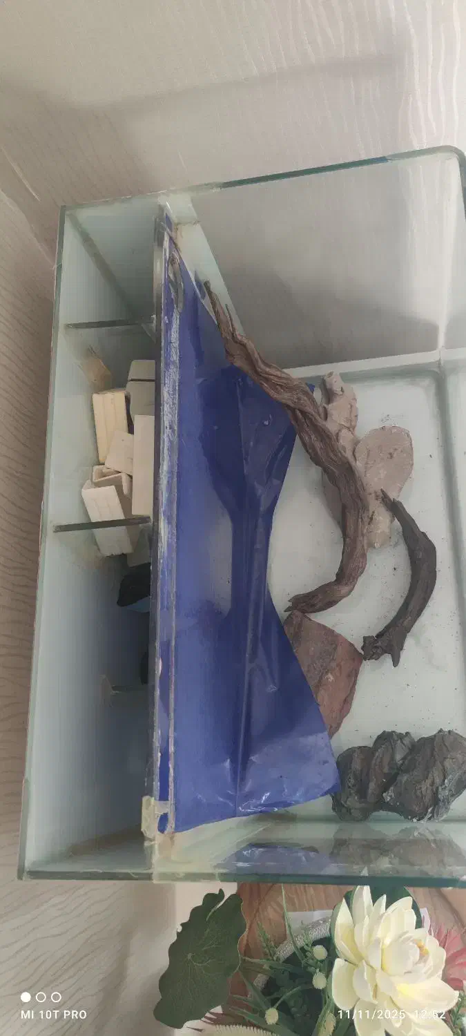 اکواریوم اب شور و آب شیرین|ماهی|قشم, |دیوار