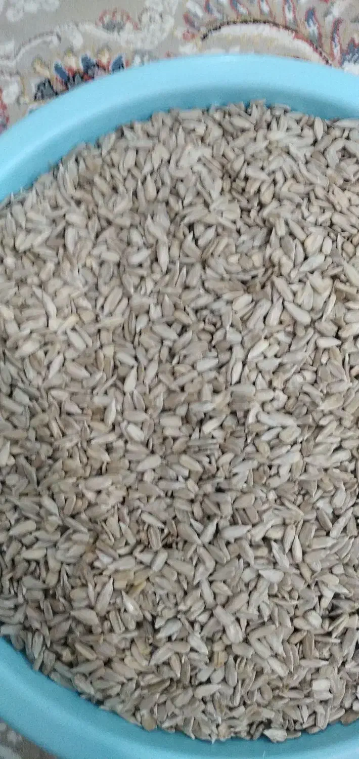 مغز تخمه آفتابگردان مرغوب|عمده‌فروشی|پیرانشهر, |دیوار