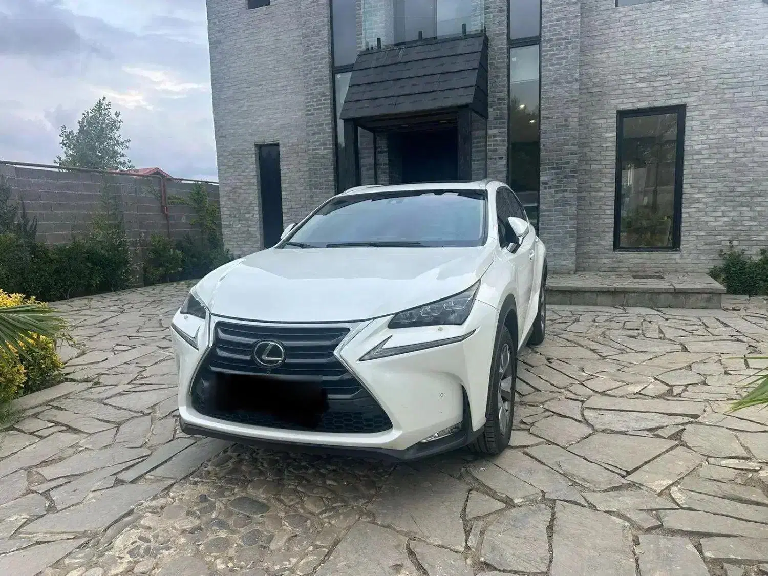 Nx200 t|خودرو سواری و وانت|رشت, کاکتوس|دیوار