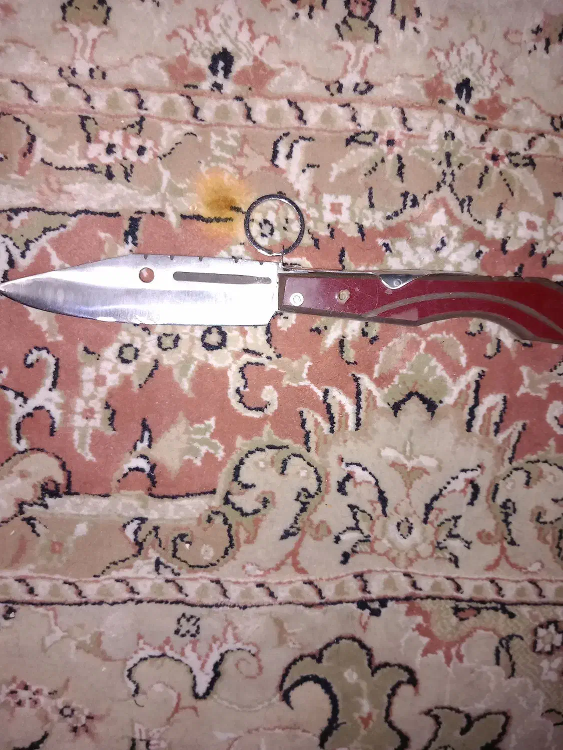 دو عدد چاقو|کوهنوردی و کمپینگ|ری, حمزهآباد|دیوار