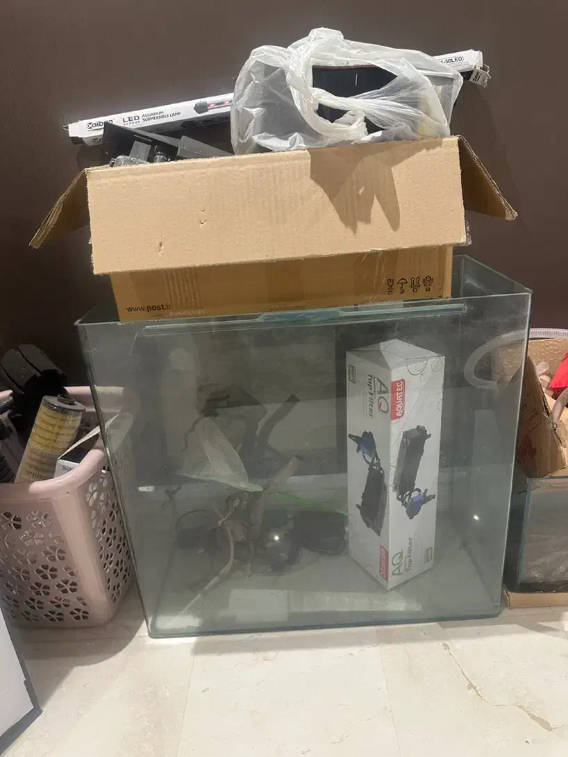 اکواریوم و وسایل ان|ماهی|کاشان, امیرکبیر|دیوار