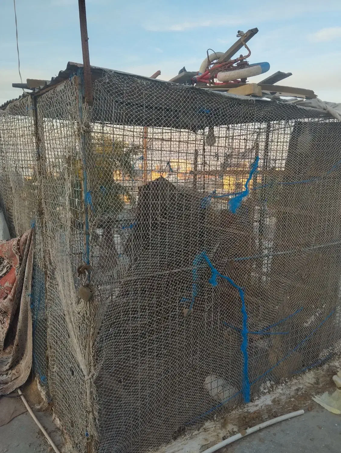 قفس|لوازم جانبی حیوانات|قشم, |دیوار