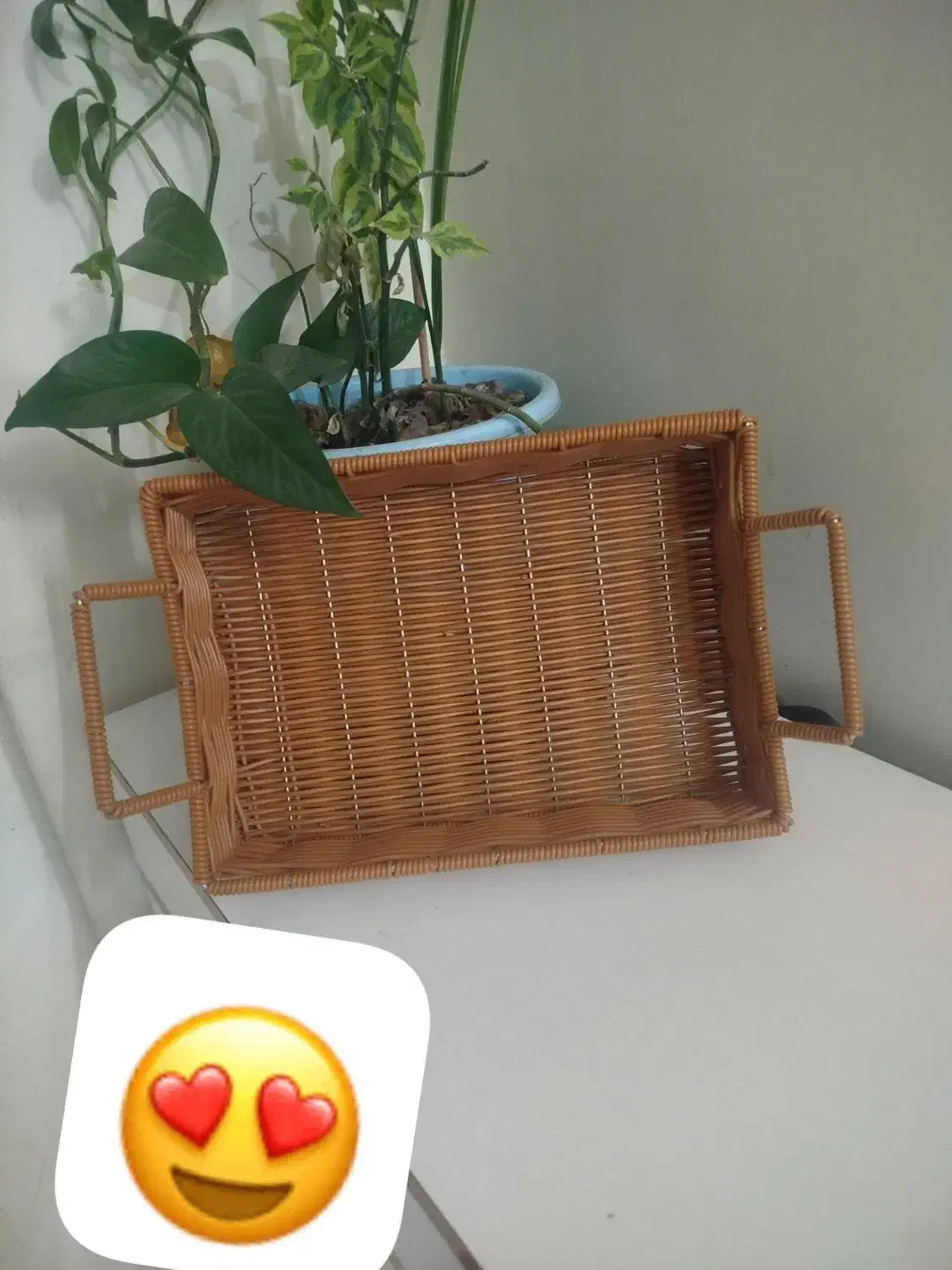 ظروف اشپزخانه|آب‌چکان و نظم‌دهنده ظروف|مشهد, شیرودی|دیوار