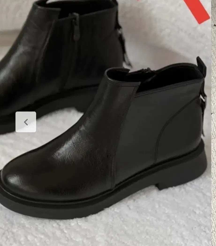 نیم بوت نو|کیف، کفش، کمربند|یاسوج, |دیوار