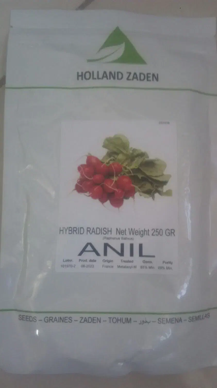 بذرتربچه گلخانه وفضای باز وانواع سبزیجات|خدمات باغبانی و درختکاری|نیشابور, شهید بهشتی|دیوار