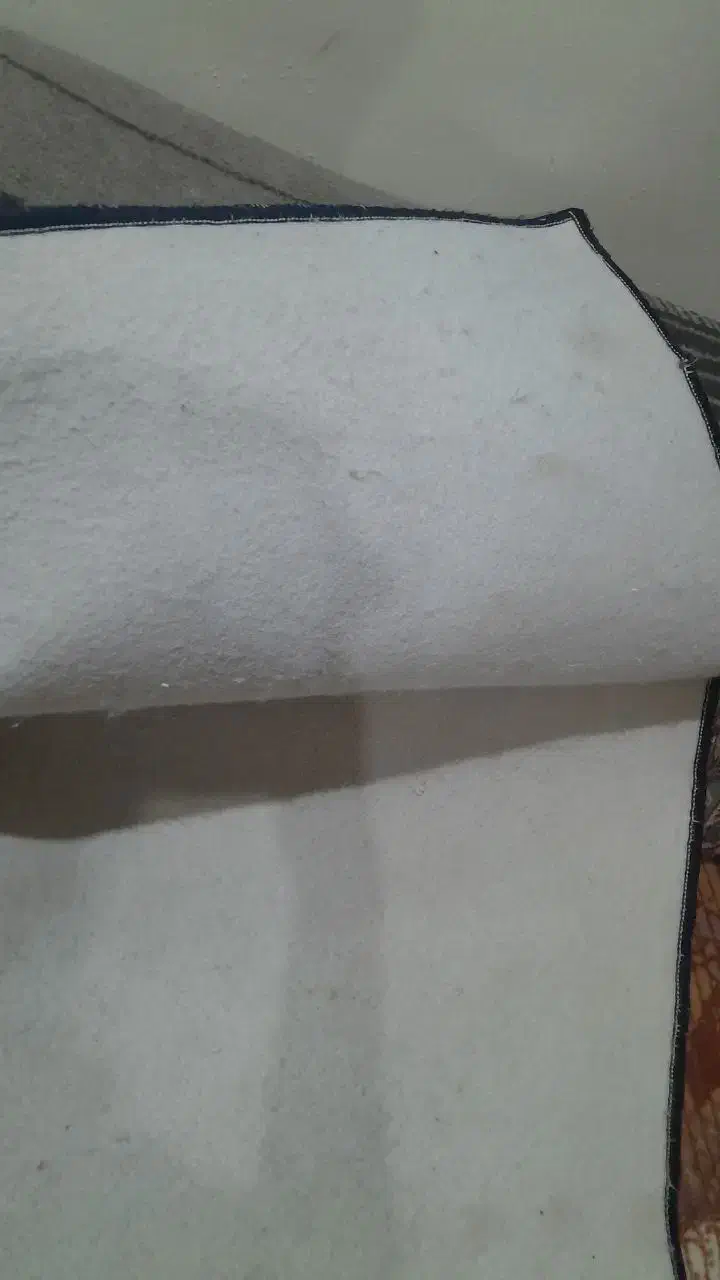 موکت|موکت|آبادان, |دیوار