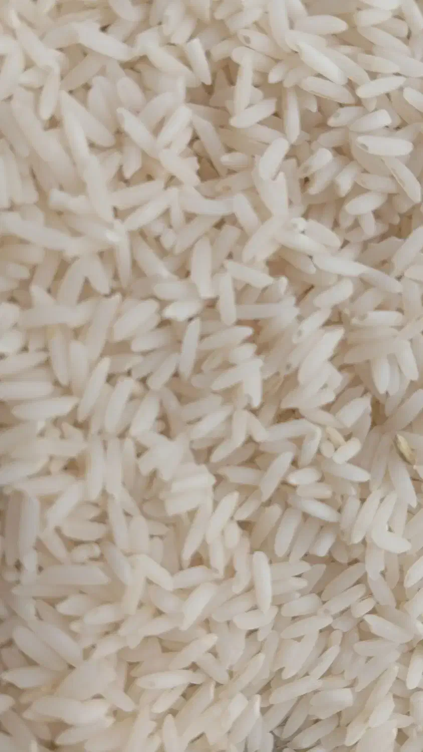 لاشه هاشمی|خوردنی و آشامیدنی|سنگر, |دیوار