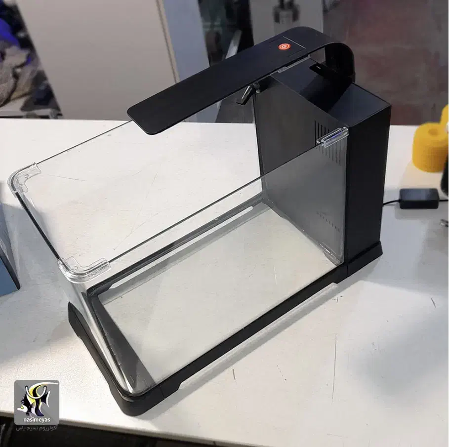 نور آکواریوم دلسا|ماهی|قزوین, |دیوار